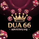 DUA 66 Game